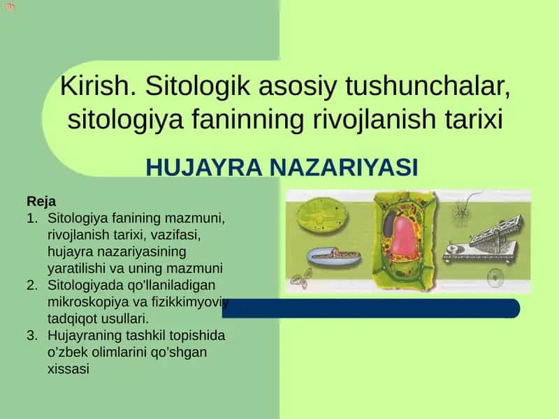 Hujayra Nazariyasi