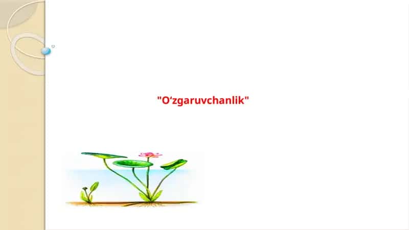 O'zgaruvchanlik
