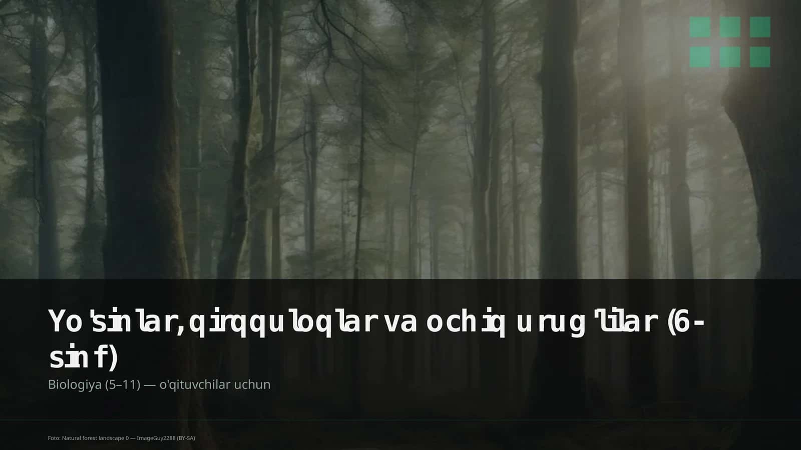 Yo'sinlar, qirqquloqlar va ochiq urug'lilar (6-sinf)