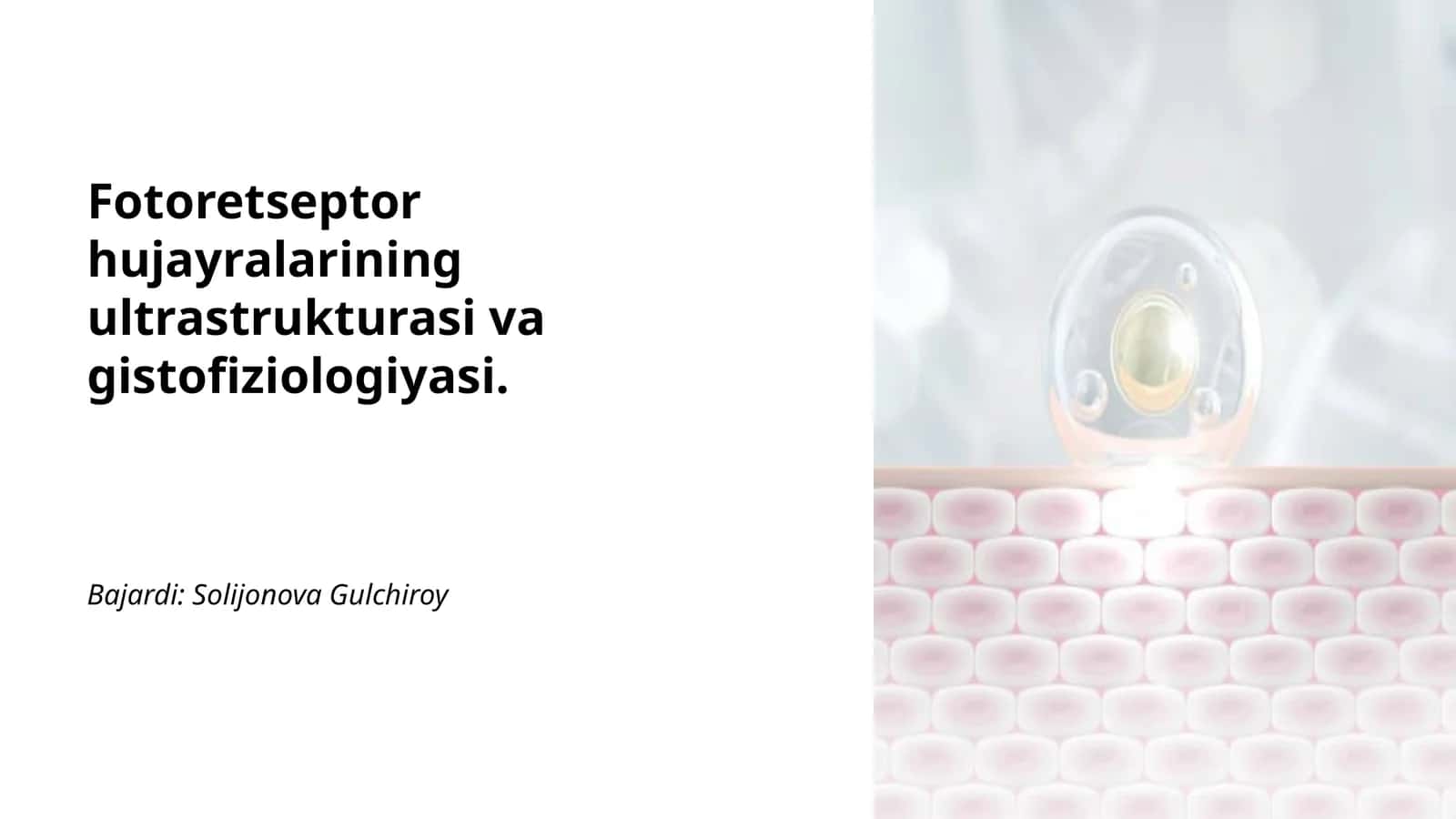 Fotoretseptor hujayralarining ultrastrukturasi va gistofiziologiyasi