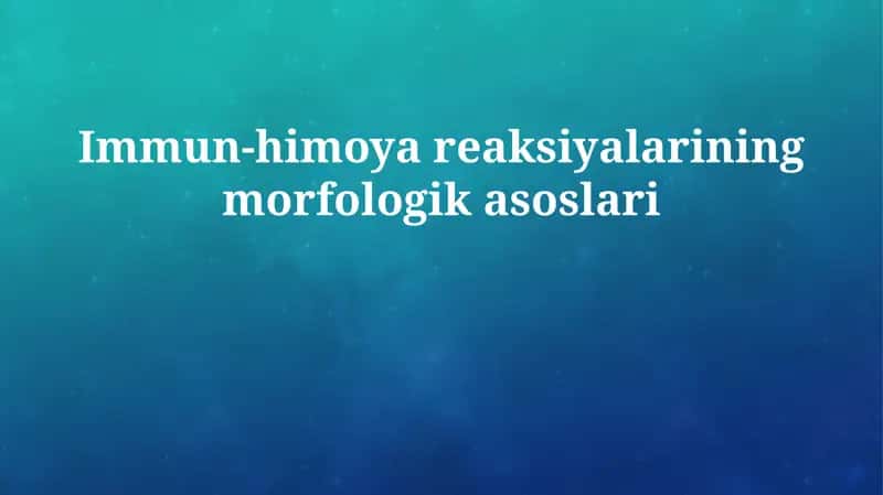 Immun-himoya reaksiyalarining morfologik asoslari