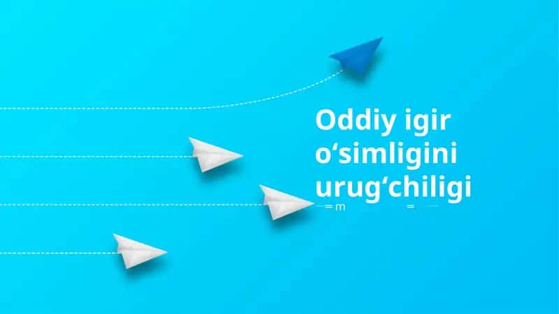 Oddiy igir oʻsimligini urugʻchiligi