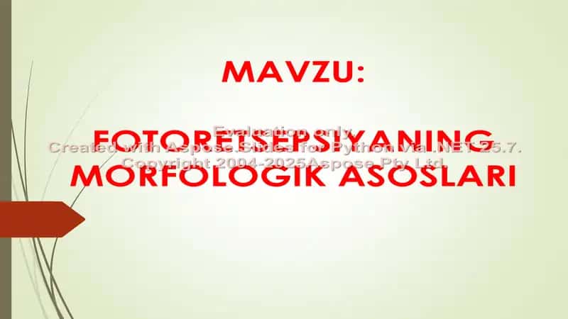 Fotoresepsiyani MORFOLOGIK ASOSLARI