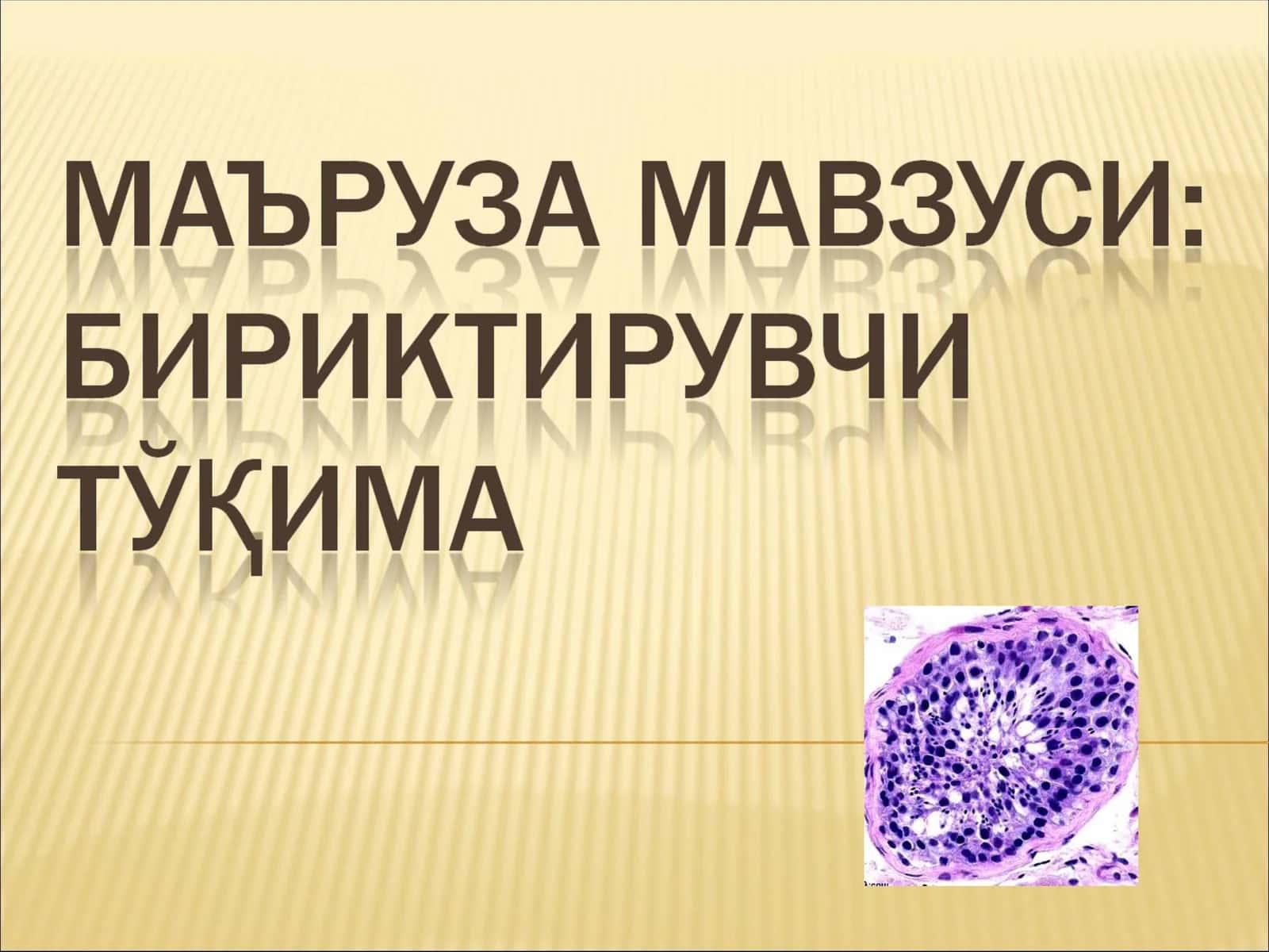ИЧКИ МУҲИТ ТЎҚИМАЛАРИ КЛАССИФИКАЦИЯСИ