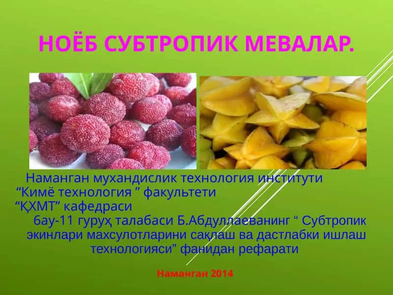 Субтропик экинлари махсулотларини сақлаш ва дастлабки ишлаш технологияси
