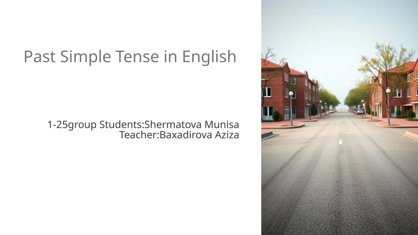 Past Simple Tense in English