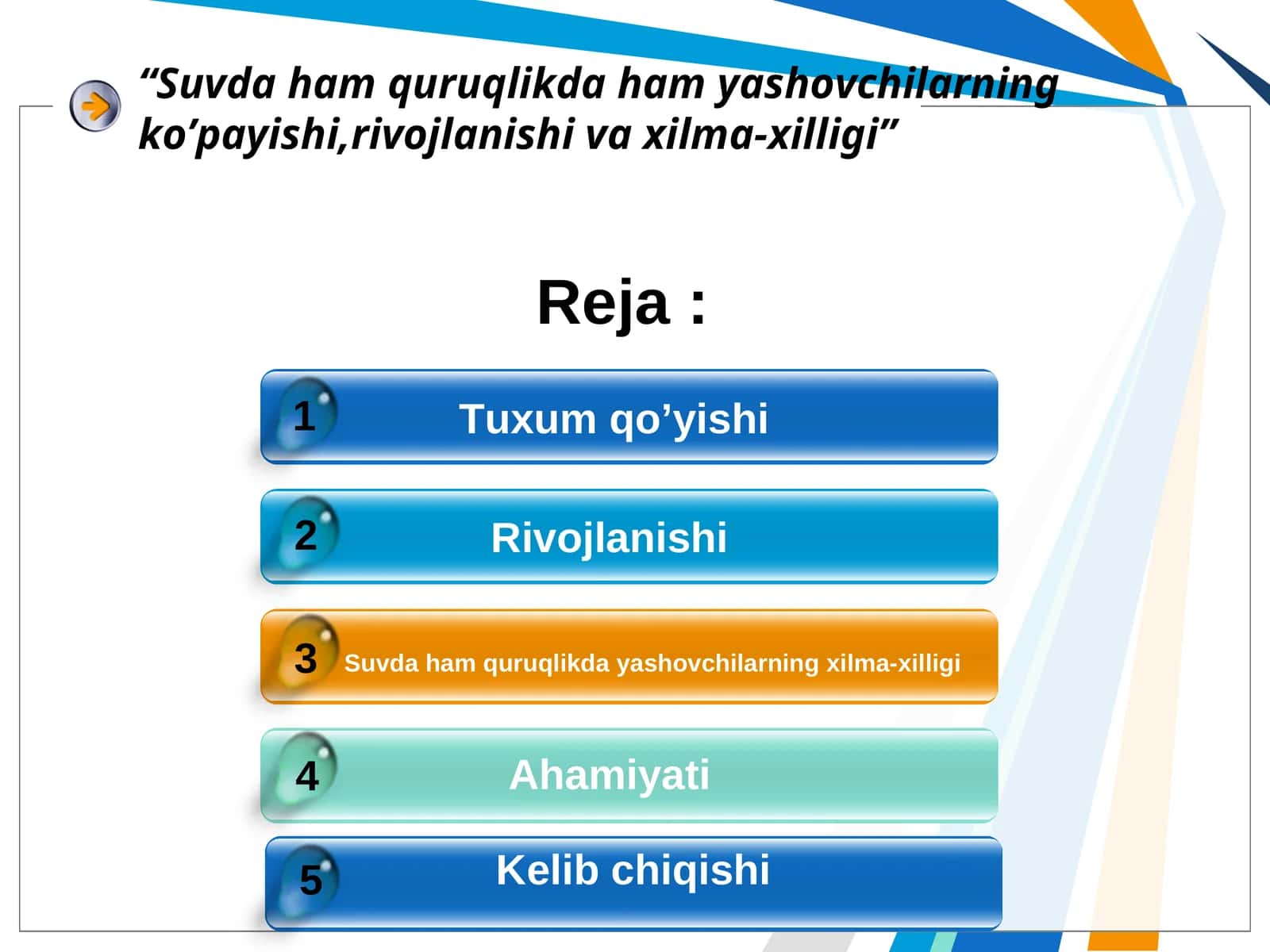 Tuxum qo’yishi