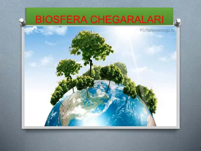 BIOSFERA CHEGARALARI