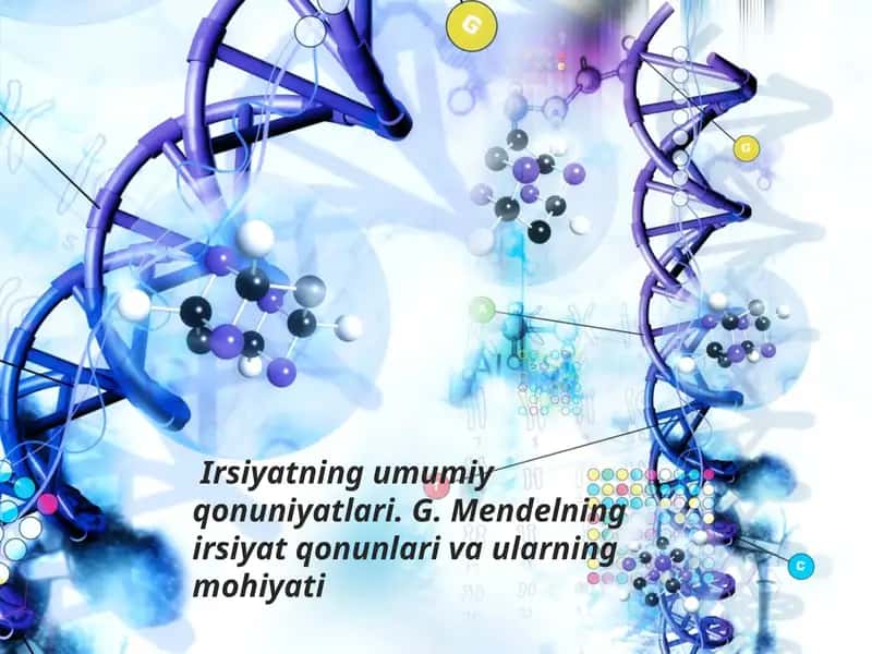 Irsiyatning umumiy qonuniyatlari