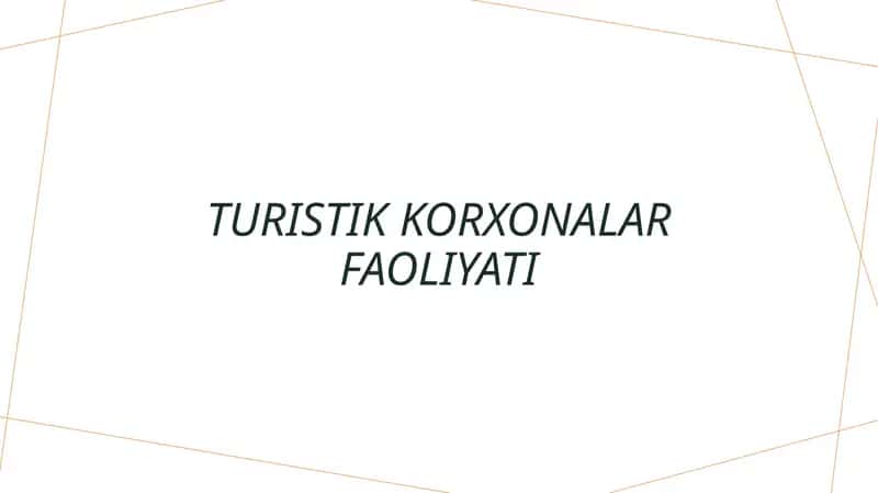 Turistik korxonalar faoliyati
