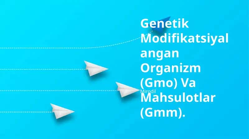Genetik Modifikatsiyalangan Organizm (GMO) Va Mahsulotlar (GMM)