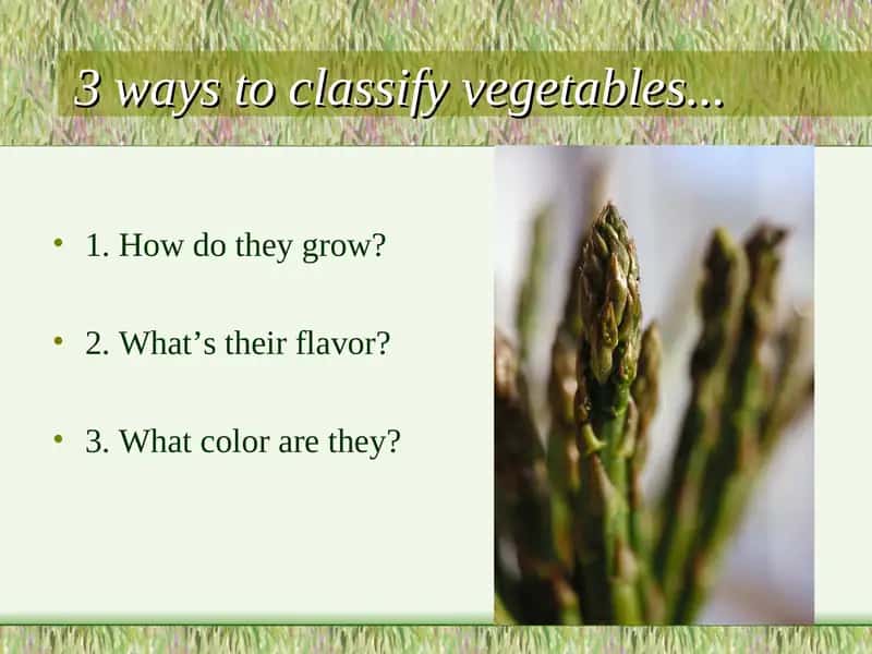 Classification of Vegetables