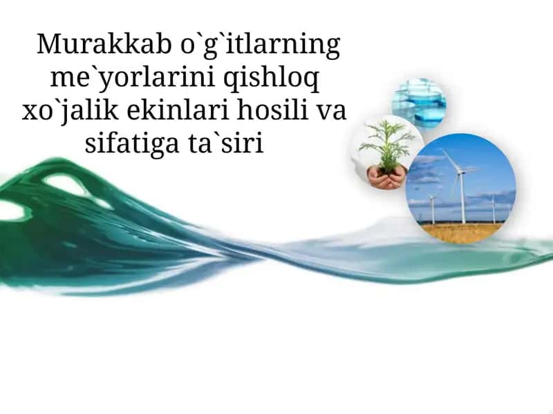 Murakkab o`g`itlarning me`yorlarini qishloq xo`jalik ekinlari hosili va sifatiga ta`siri