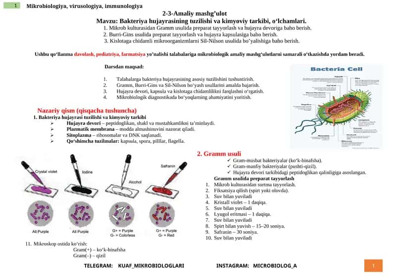 Mikrobiologiya, virusologiya, immunologiya