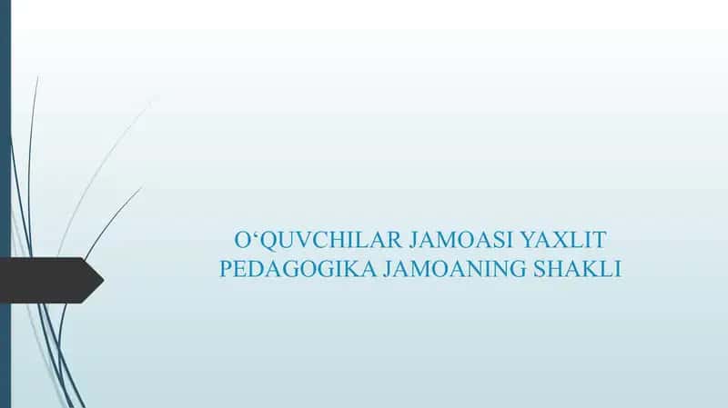 OʻQUVCHILAR JAMOASI YAXLIT PEDAGOGIKA JAMOANING SHAKLI
