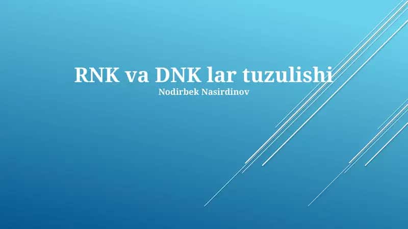RNK va DNK lar tuzulishi