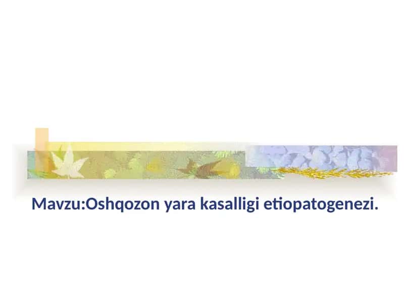 Oshqozon yara kasalligi etiopatogenezi