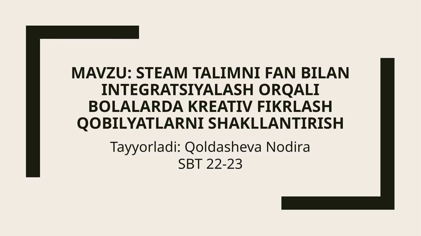 STEAM tilimi
