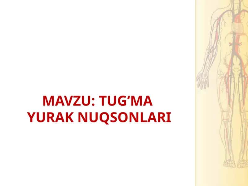 Tug‘ma yurak nuqsonlari