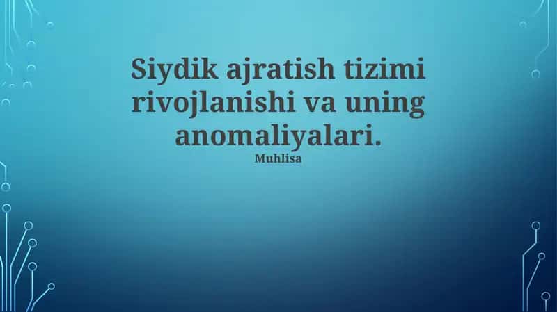Siydik ajratish tizimi rivojlanishi va uning anomaliyalari