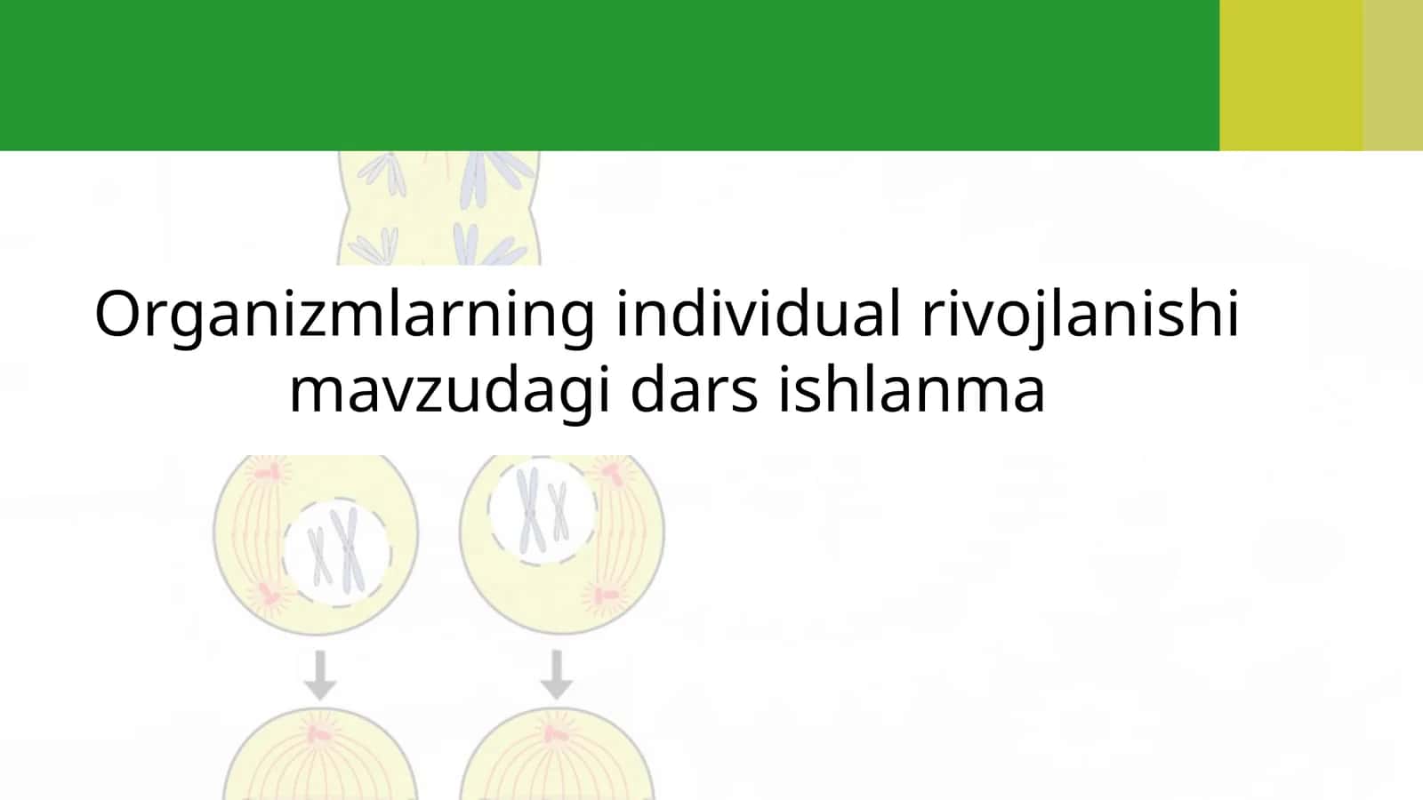 Organizmlarning individual rivojlanishi mavzudagi dars ishlanma