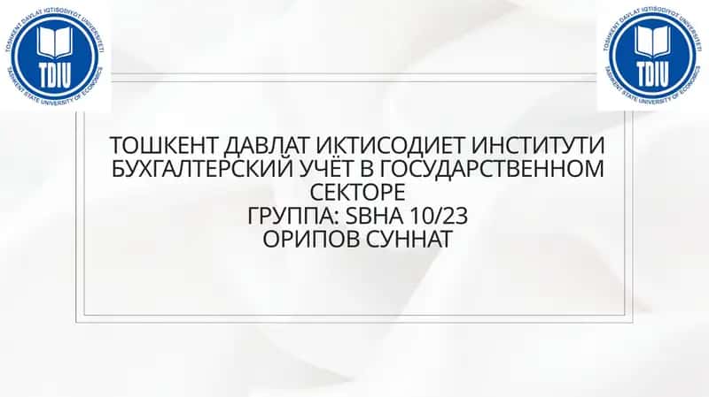 Порядок подготовки и представления отчета об исполнении государственного бюджета.