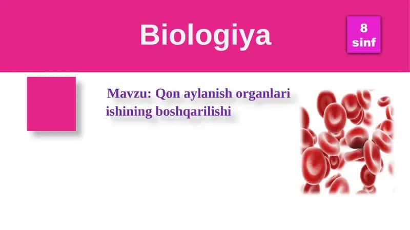 Qon aylanish organlari ishining boshqarilishi