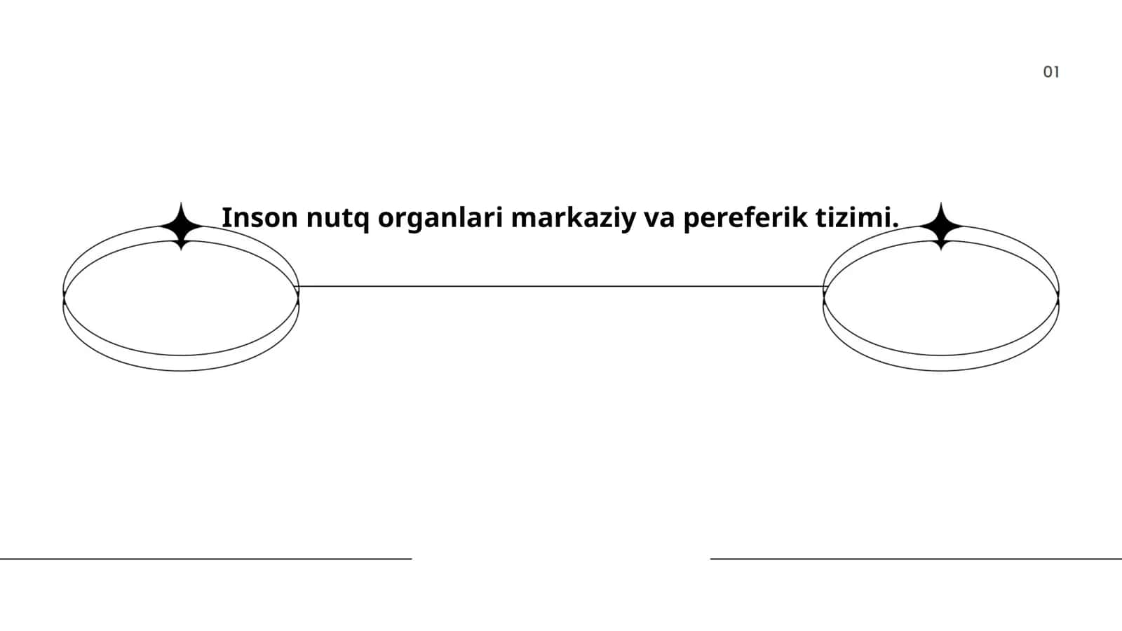 Inson nutq organlari markaziy va pereferik tizimi