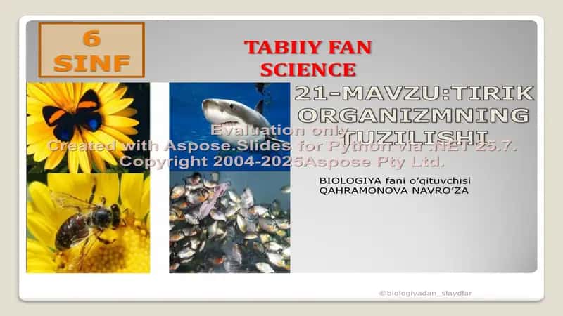 BIOLOGIYA fani o’qituvchisi QAHRAMONOVA NAVRO’ZA