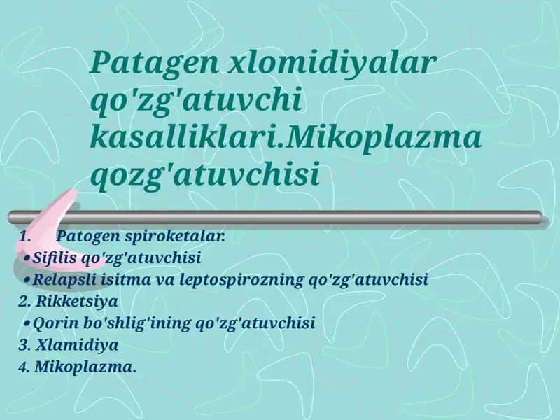 Patagen xlomidiyalar qo'zg'atuvchi kasalliklari.Mikoplazma qozg'atuvchisi