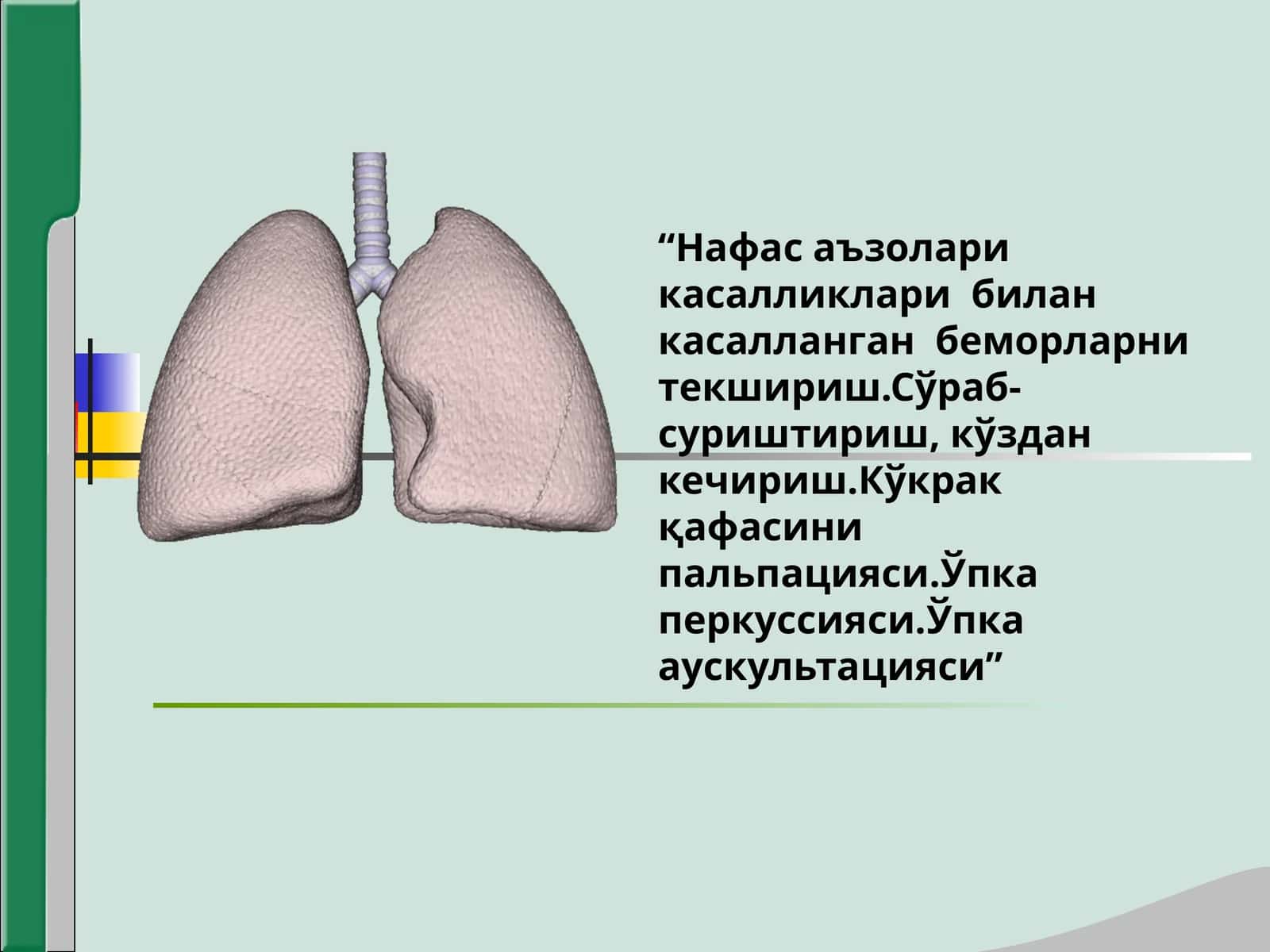 Нафас аъзолари касалликлари билан касалланган беморларни текшириш