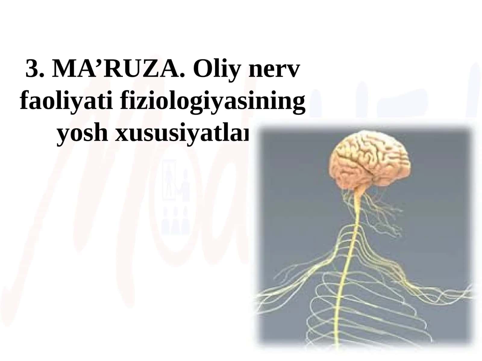 MA’RUZA.Oliy nerv faoliyati fiziologiyasining yosh xususiyatlari
