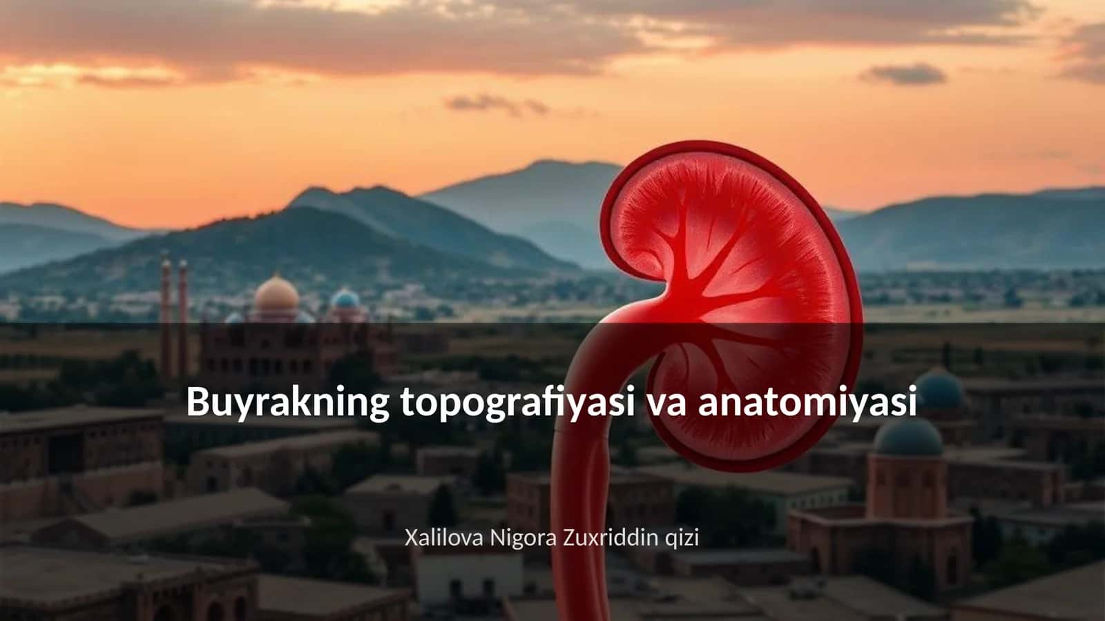 Buyrakning topografiyasi va anatomiyasi