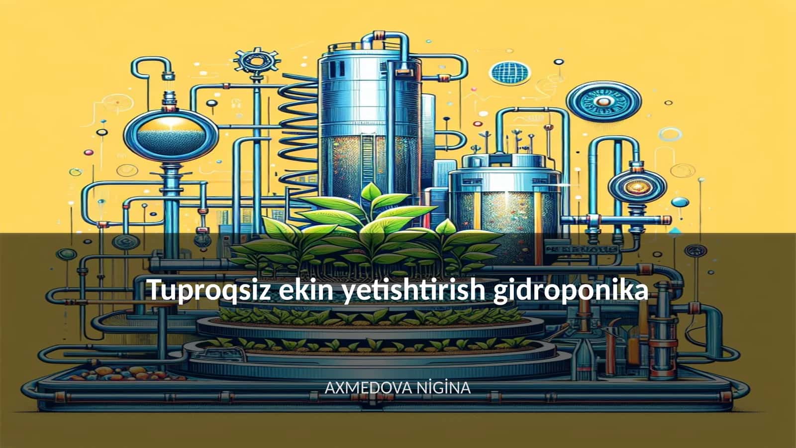 Tuproqsiz ekin yetishtirish gidroponika