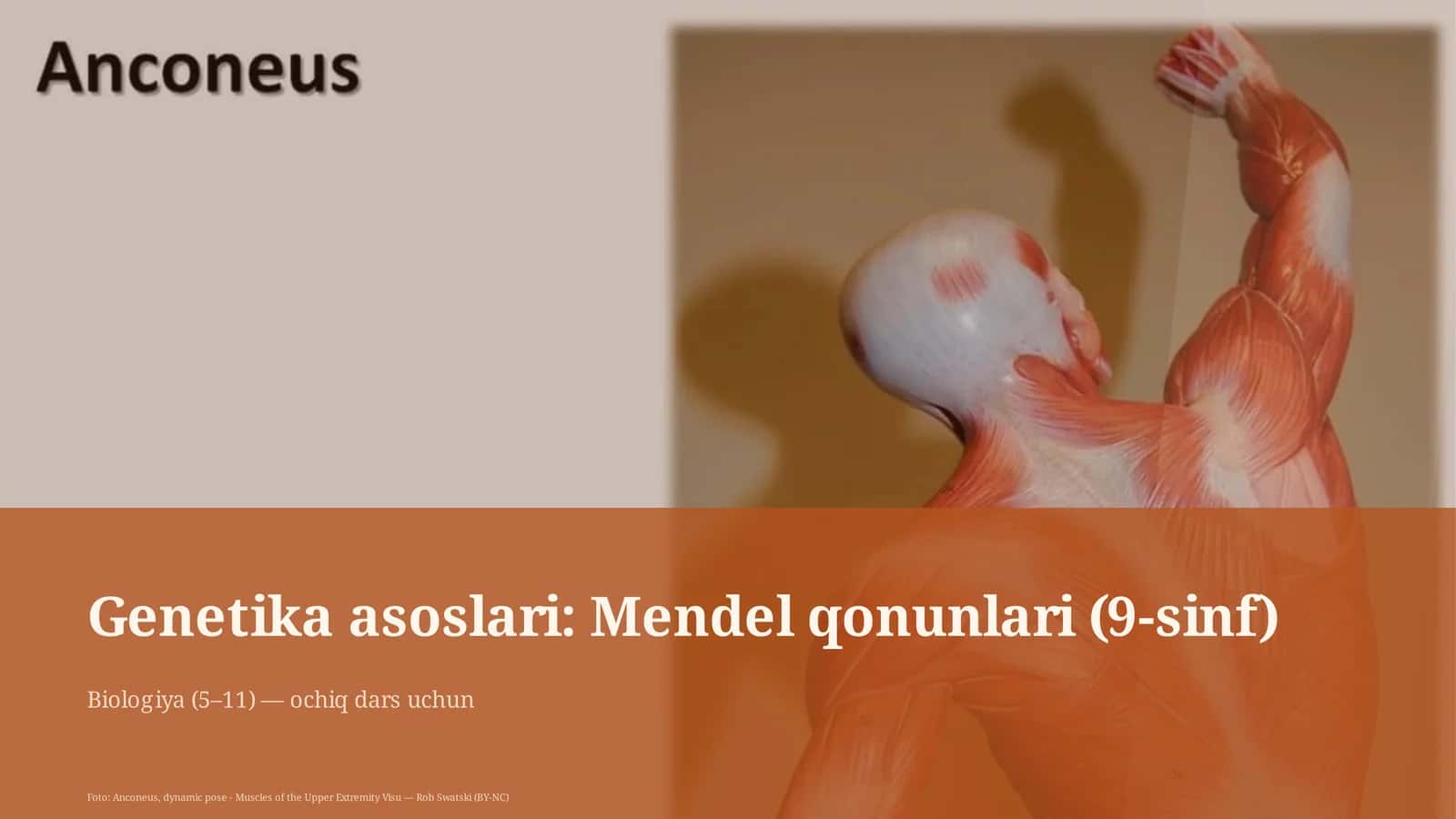Genetika asoslari: Mendel qonunlari (9-sinf)