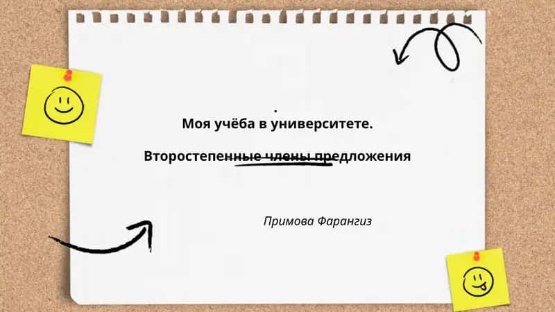 Моя учёба в университете. Второстепенные члены предложения