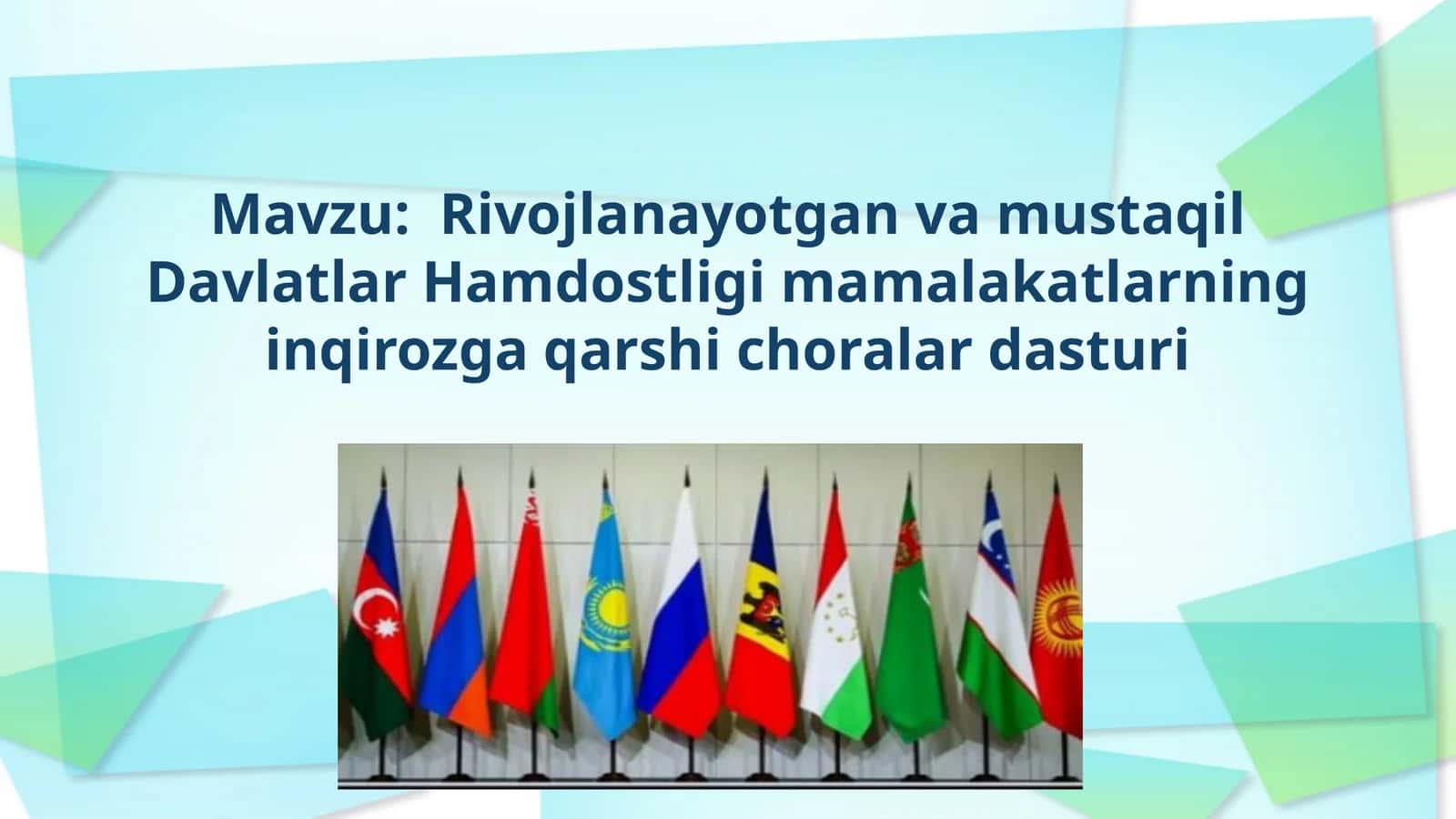 Rivojlanayotgan va mustaqil Davlatlar Hamdostligi mamalakatlarning inqirozga qarshi choralar dasturi