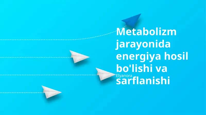 Metabolizm jarayonida energiya hosil bo'lishi va sarflanishi