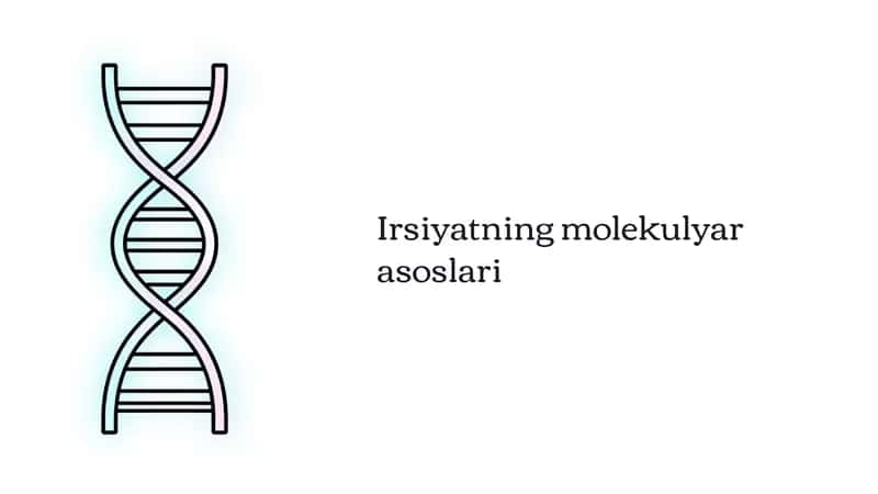 Irsiyatning molekulyar asoslari