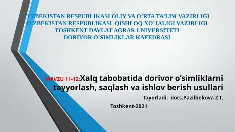 Xalq tabobatida dorivor o’simliklarni tayyorlash, saqlash va ishlov berish usullari