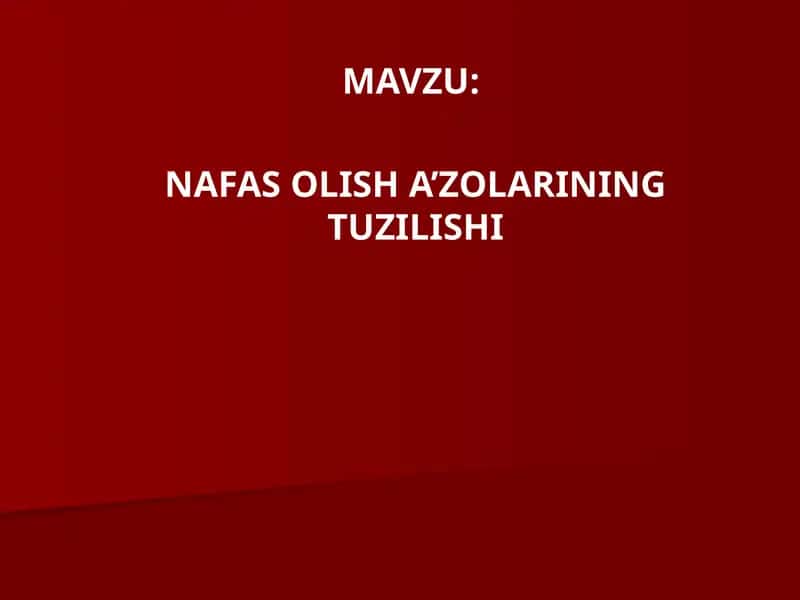 NAFASOLISHA’ZOLARINING TUZILISHI