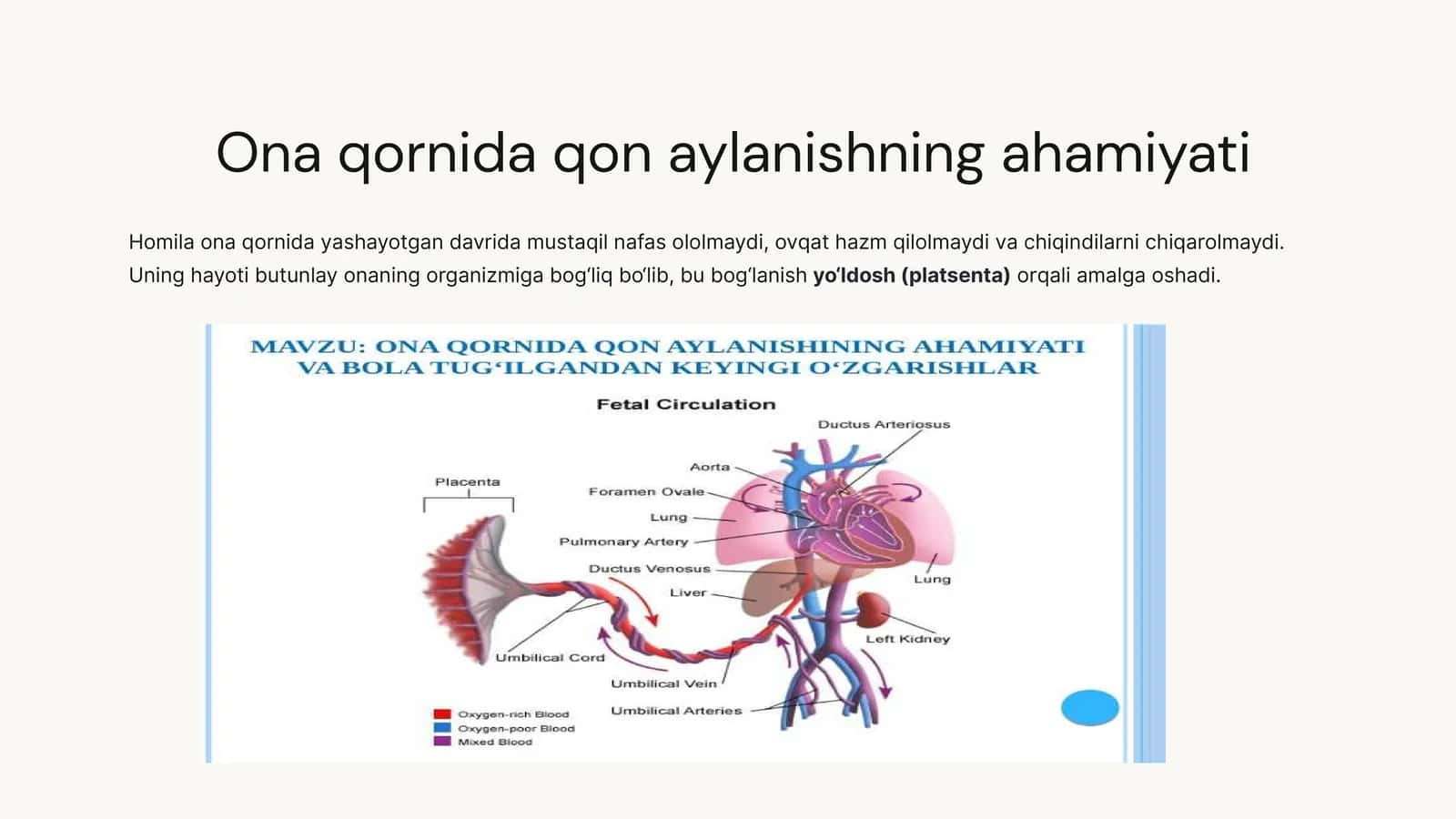 ONA QORNIDA QON AYLANISHINING AHAMIAYTI