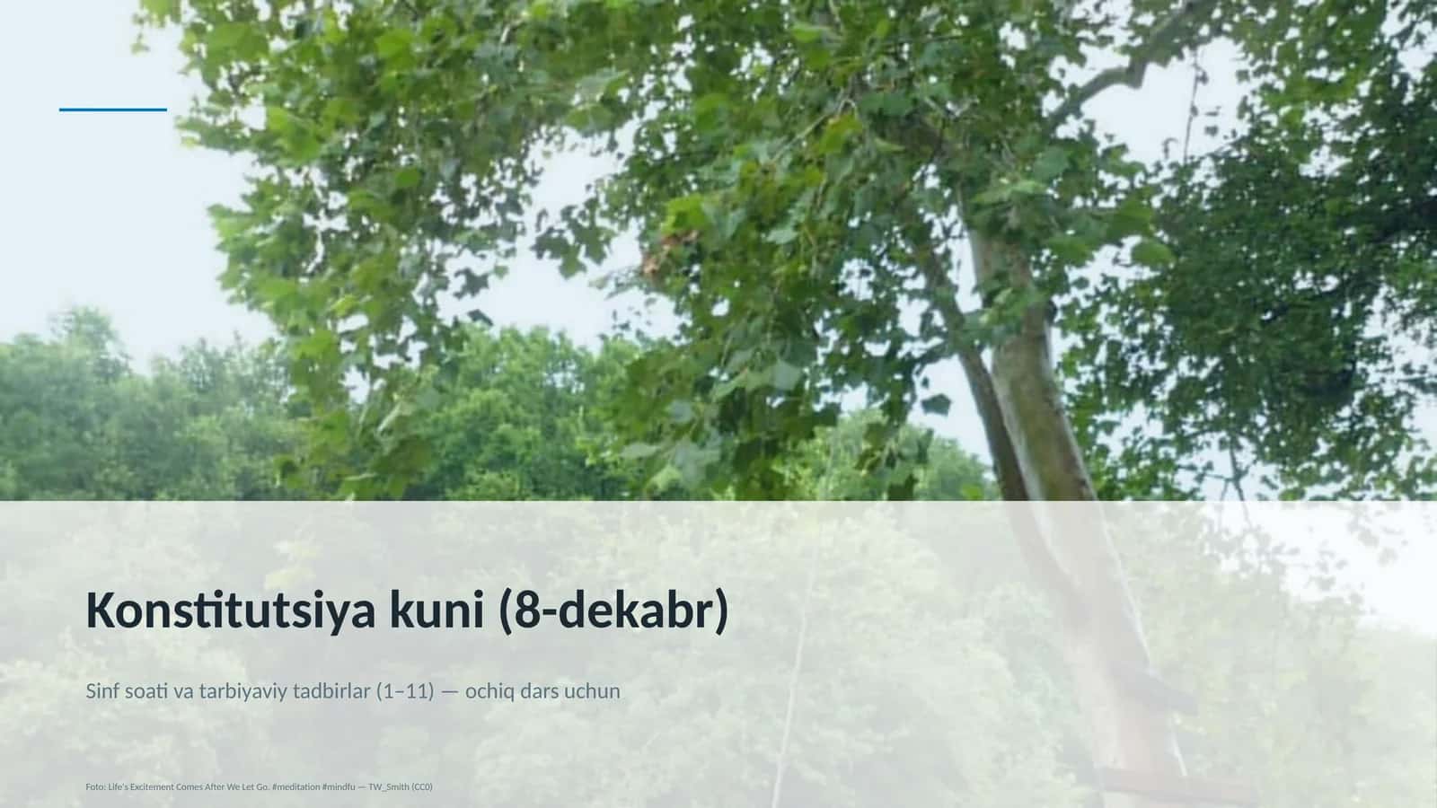 konstitutsiya kuni 8 dekabr 663