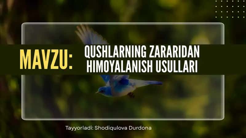 Qushlarning Zararidan Himoyalash Usullari