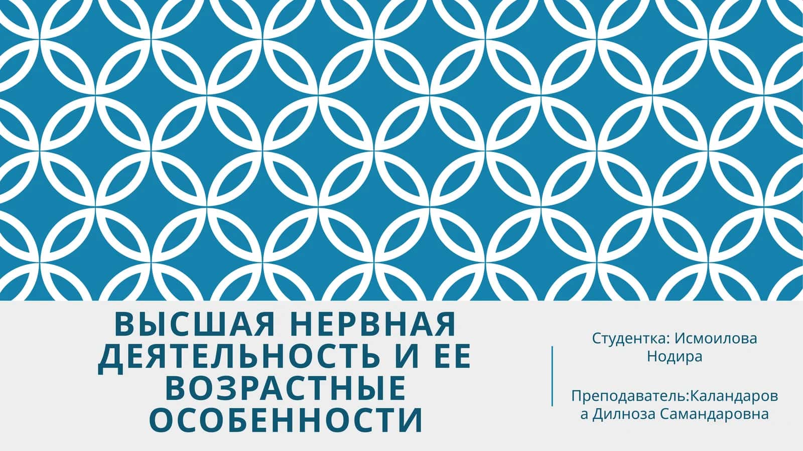 Высшая нервная деятельность и ее возрастные особенности