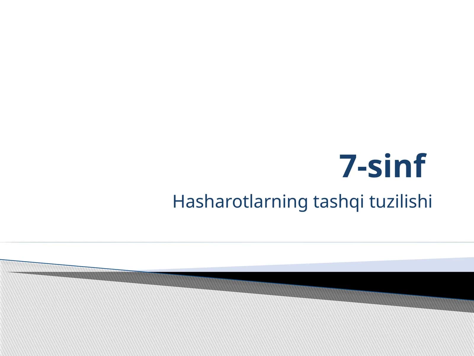 Hasharotlarning tashqi tuzilishi