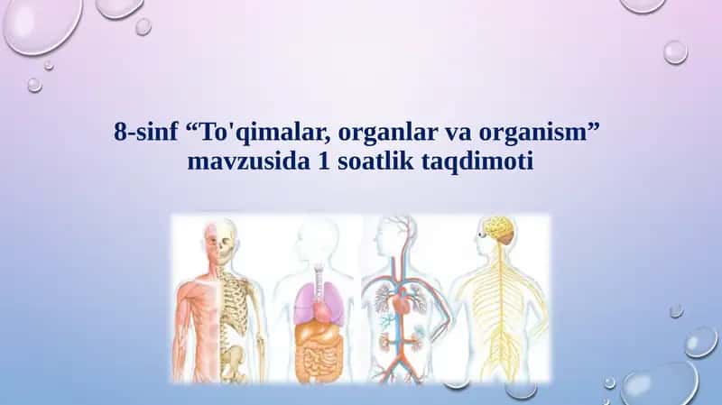 To'qimalar, organlar va organism