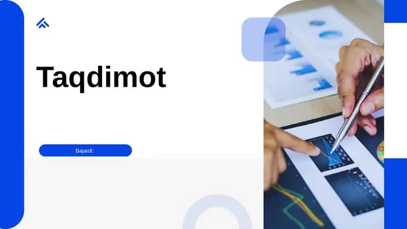 Davlat investitsiya dasturi