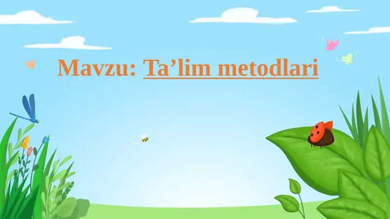 Ta’lim Metodlari