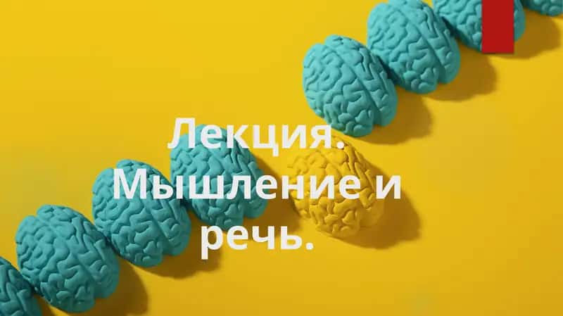 Лекция. Мышление и речь.